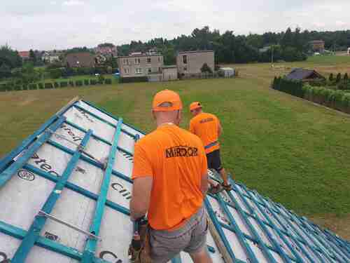 Bliźniak Nieborowice